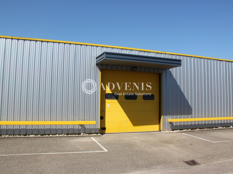 Location Activités Entrepôts GEISPOLSHEIM (67118) - Photo 6