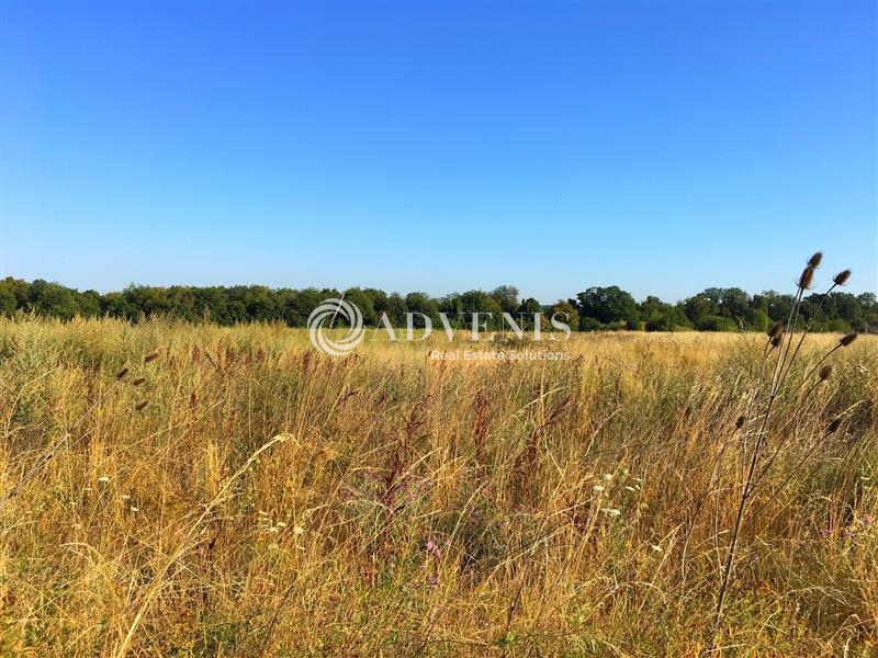 Vente Investisseur Terrain MAXEVILLE (54320) - Photo 6