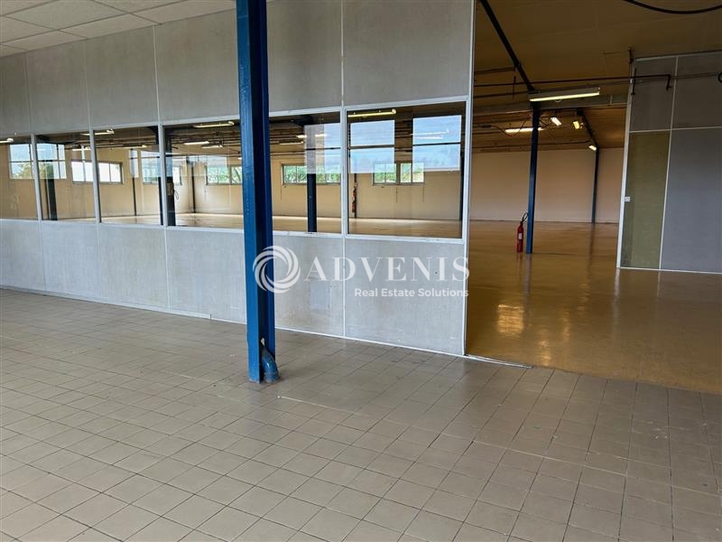 Location Activités Entrepôts MONNAIE (37380) - Photo 3