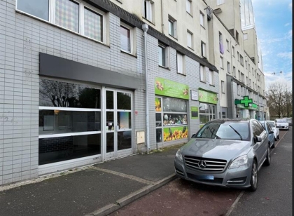 Advenis RES - Immobilier d'entreprises