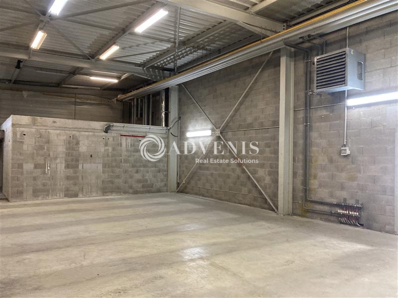 Location Activités Entrepôts STRASBOURG (67000) - Photo 6