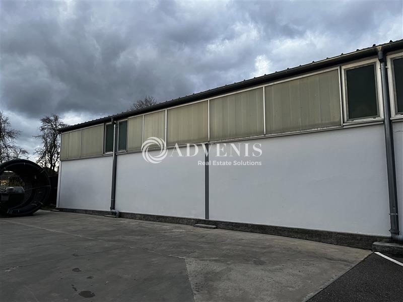 Location Activités Entrepôts ROSHEIM (67560) - Photo 2