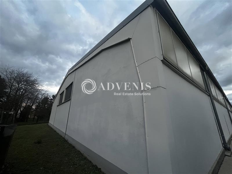 Location Activités Entrepôts ROSHEIM (67560) - Photo 3