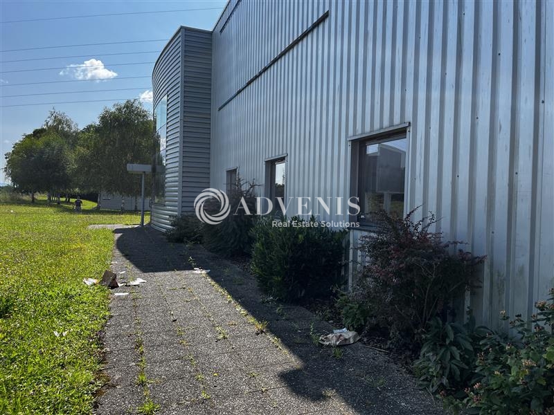 Location Activités Entrepôts ECKBOLSHEIM (67201) - Photo 3