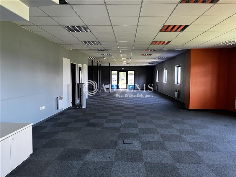 Location Activités Entrepôts ECKBOLSHEIM (67201) - Photo 6