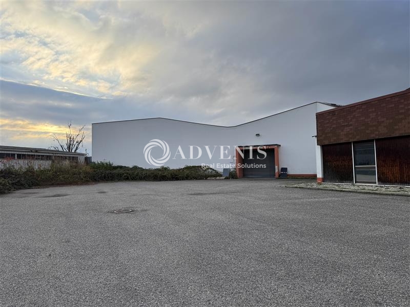 Location Activités Entrepôts HOERDT (67720) - Photo 2