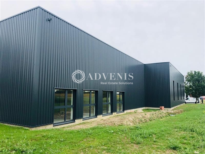 Vente Utilisateur Activités Entrepôts HERRLISHEIM (67850) - Photo 3