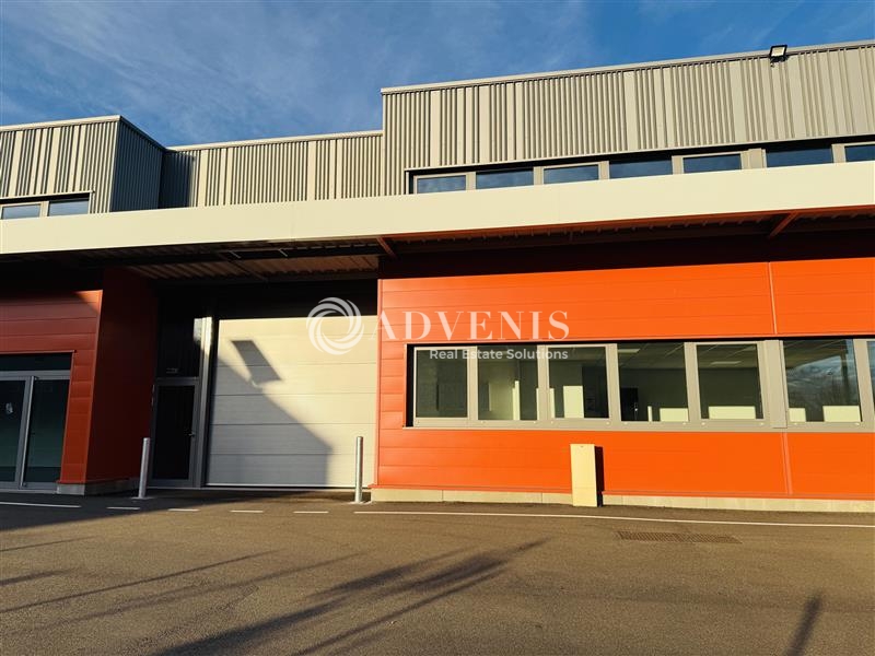 Location Activités Entrepôts ESCHAU (67114) - Photo 2