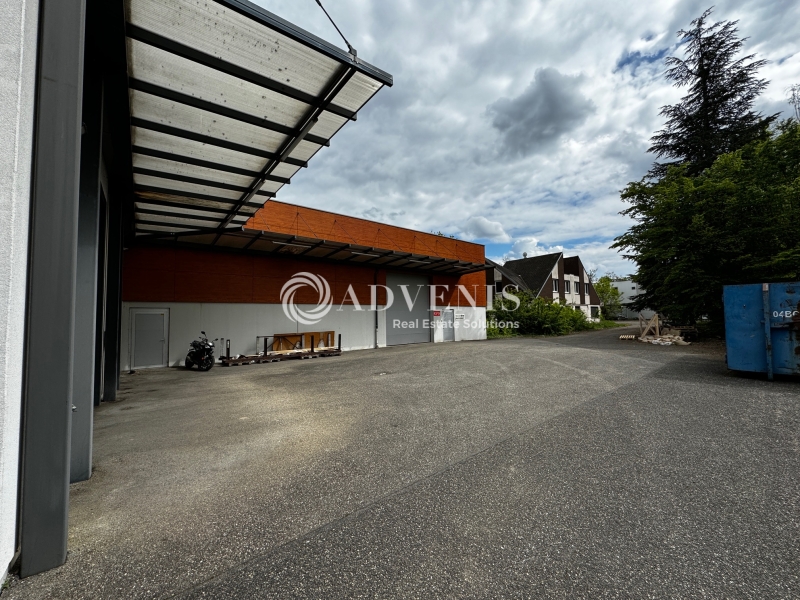 Vente Utilisateur Activités Entrepôts ECKBOLSHEIM (67201) - Photo 5