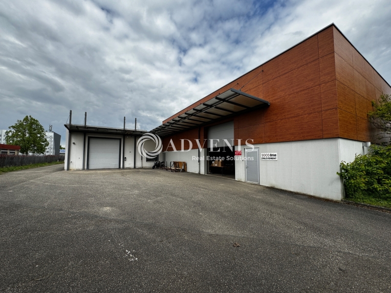 Vente Utilisateur Activités Entrepôts ECKBOLSHEIM (67201) - Photo 6