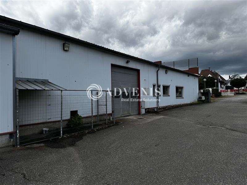 Location Activités Entrepôts MOMMENHEIM (67670) - Photo 2