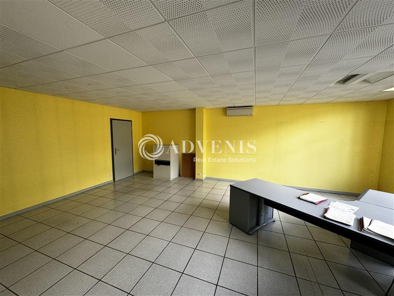 Location Activités Entrepôts MOMMENHEIM (67670) - Photo 7