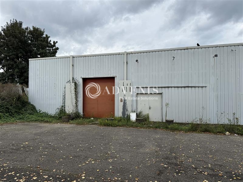 Location Commerces VENDENHEIM (67550) - Photo 7