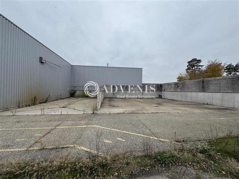 Location Activités Entrepôts SCHWEIGHOUSE SUR MODER (67590) - Photo 6