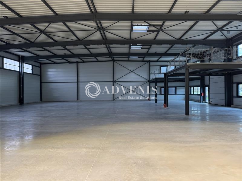 Location Activités Entrepôts MARLENHEIM (67520) - Photo 4