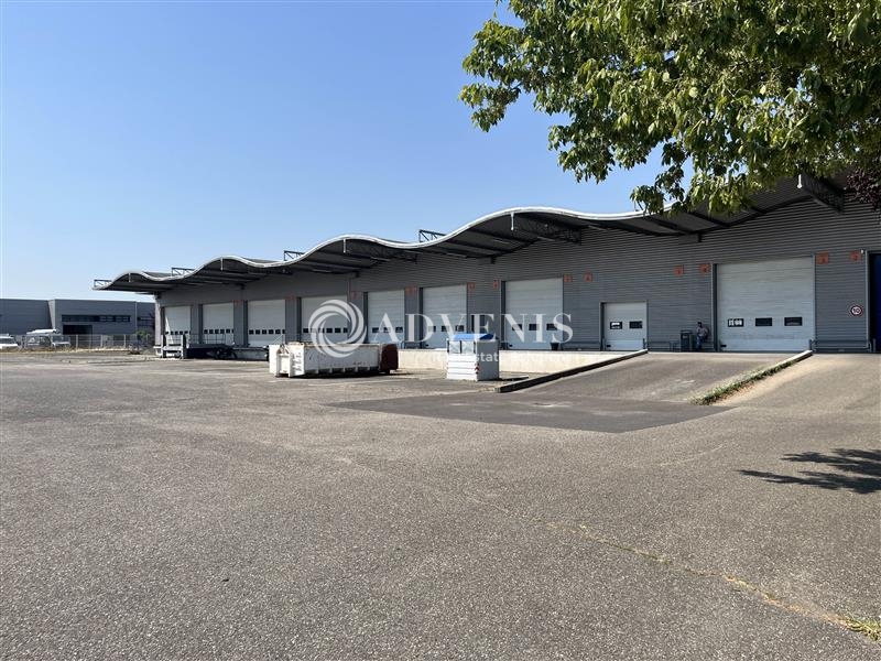 Vente Utilisateur Entrepôts SOUFFELWEYERSHEIM (67460) - Photo 2