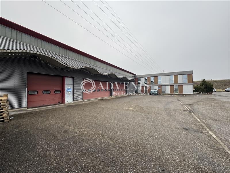 Vente Utilisateur Activités Entrepôts DUTTLENHEIM (67120) - Photo 1