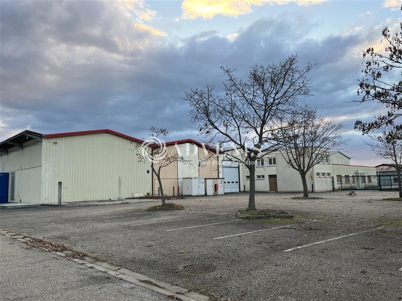 Vente Utilisateur Activités Entrepôts DUTTLENHEIM (67120) - Photo 1