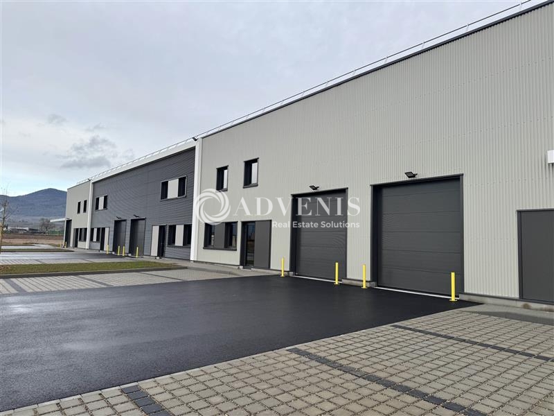 Vente Utilisateur Activités Entrepôts BERGHEIM (68750) - Photo 2