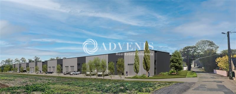 Vente Investisseur Activités Entrepôts SAINT SYMPHORIEN D'ANCELLES (71570) - Photo 3