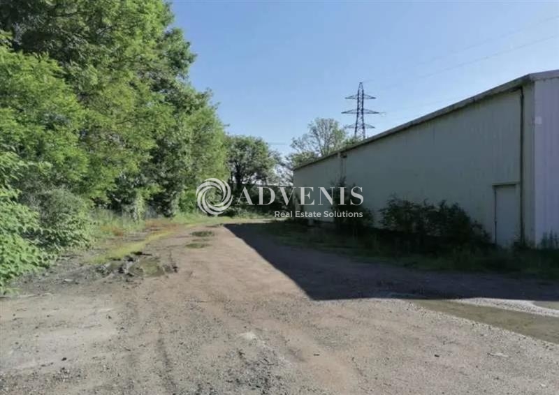 Location Activités Entrepôts LOZANNE (69380) - Photo 6