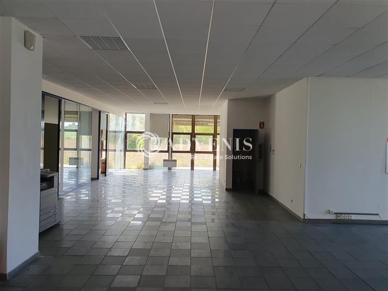 Vente Investisseur Activités Entrepôts DISSAY SOUS COURCILLON (72500) - Photo 5