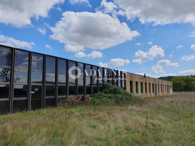 Vente Investisseur Activités Entrepôts DISSAY SOUS COURCILLON (72500) - Photo 9