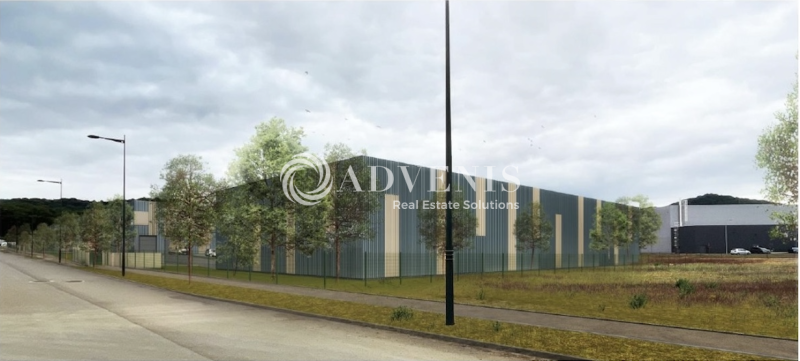 Vente Investisseur Activités Entrepôts THIONVILLE (57100) - Photo 2