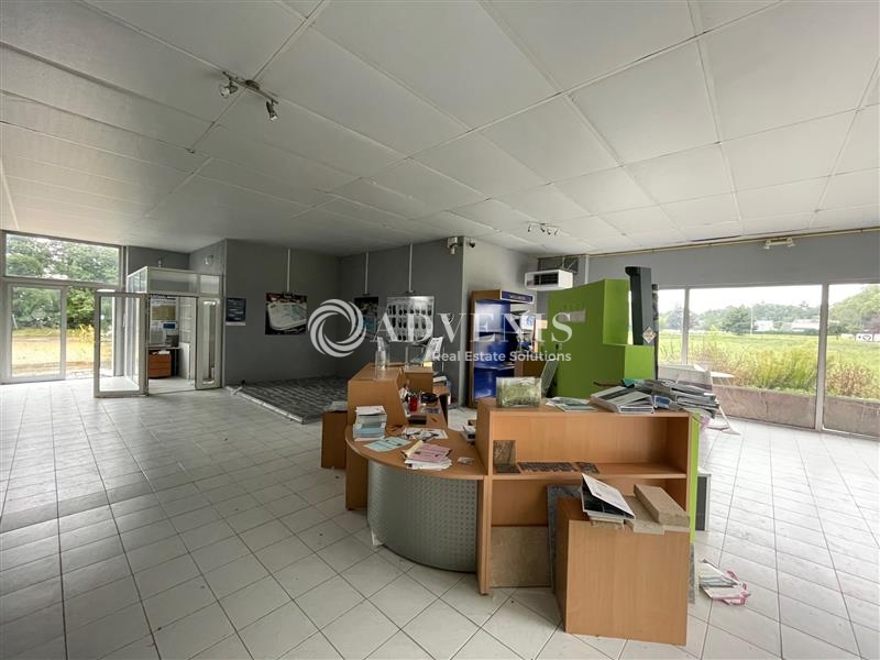 Location Commerces SAINT PRYVE SAINT MESMIN (45750) - Photo 6