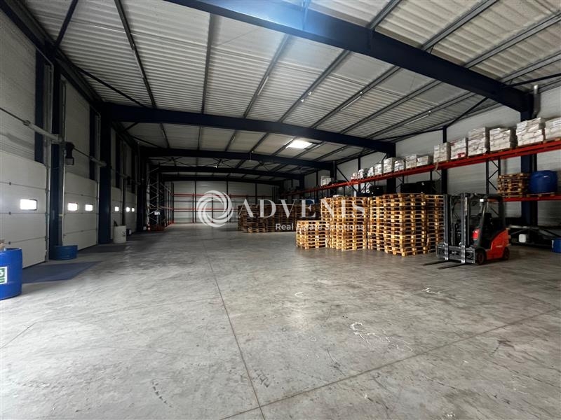 Vente Utilisateur Activités Entrepôts SORIGNY (37250) - Photo 1