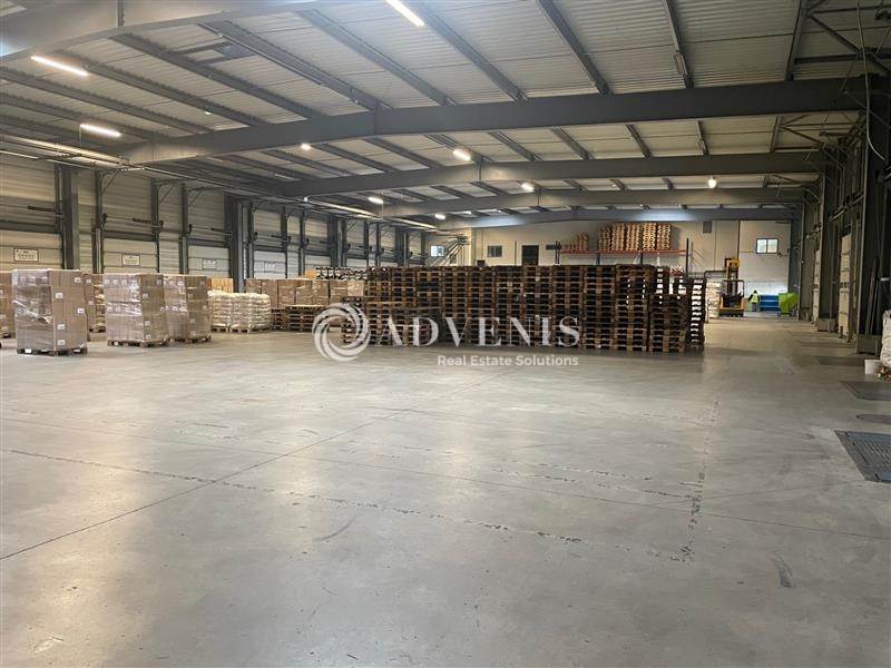 Vente Investisseur Activités Entrepôts LE CONTROIS EN SOLOGNE (41700) - Photo 4