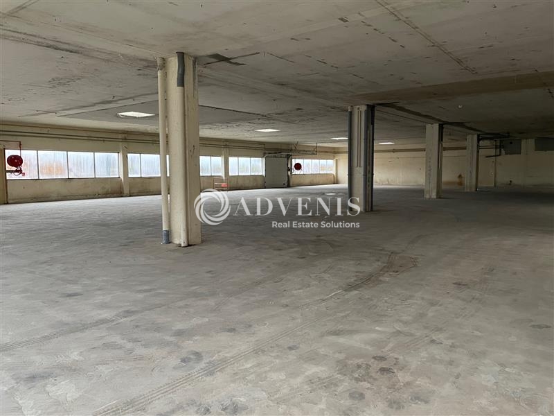 Vente Investisseur Activités Entrepôts SALBRIS (41300) - Photo 7