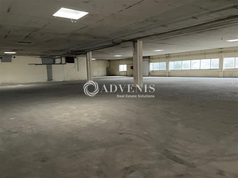 Vente Investisseur Activités Entrepôts SALBRIS (41300) - Photo 9