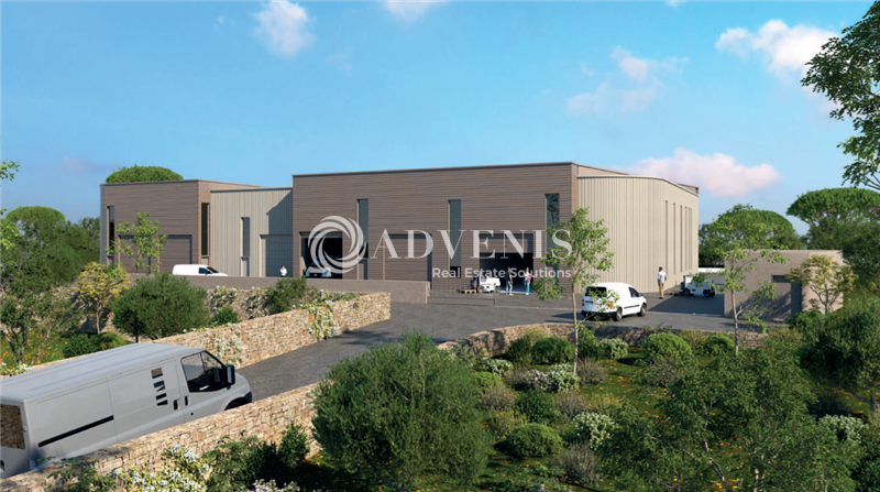 Vente Investisseur Activités Entrepôts SAINT GEORGES D'ORQUES (34680) - Photo 1