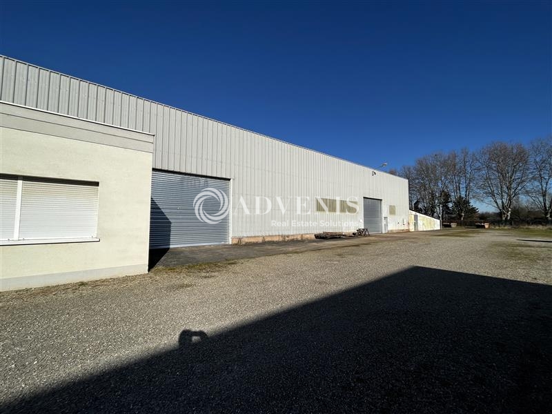 Vente Utilisateur Activités Entrepôts ILLKIRCH GRAFFENSTADEN (67400) - Photo 5