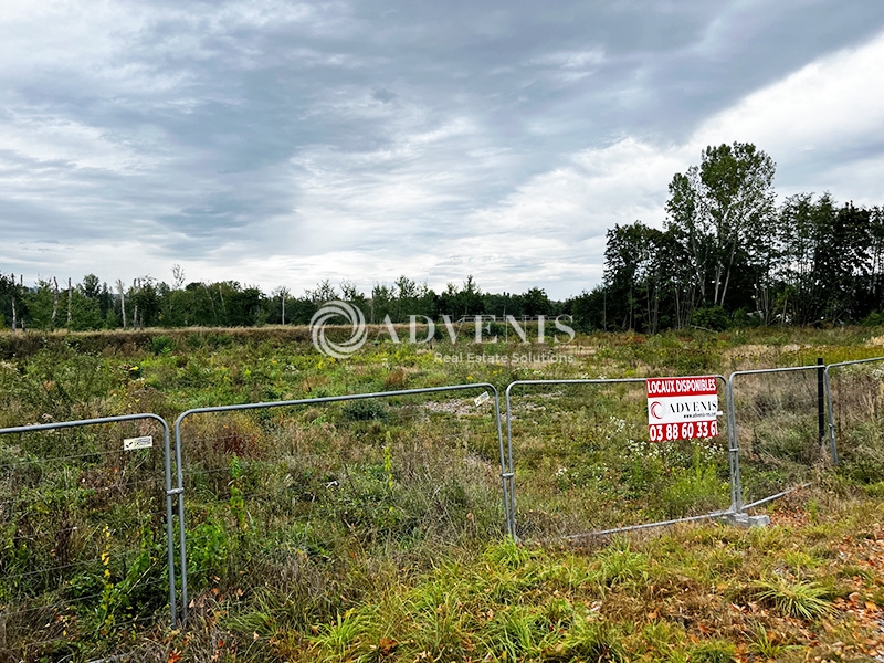 Vente Utilisateur Terrain STEINBOURG (67790) - Photo 1