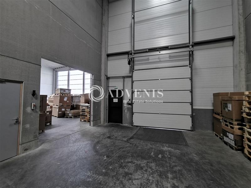 Location Activités Entrepôts SAINGHIN EN MELANTOIS (59262) - Photo 4