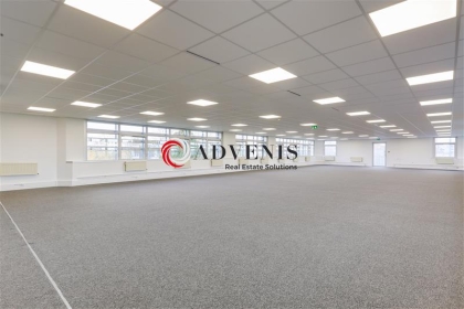 Advenis RES - Immobilier d'entreprises