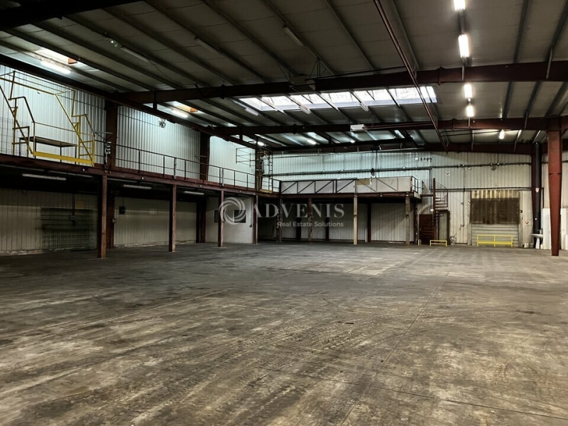 Location Activités Entrepôts DUTTLENHEIM (67120) - Photo 2