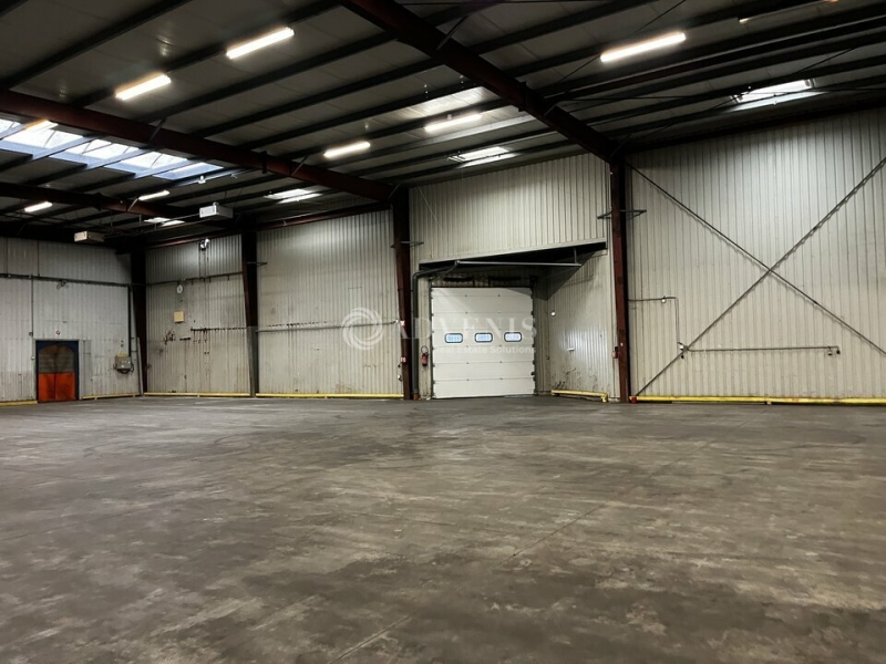 Location Activités Entrepôts DUTTLENHEIM (67120) - Photo 3