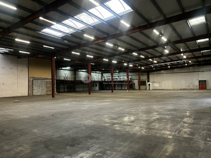 Location Activités Entrepôts DUTTLENHEIM (67120) - Photo 4