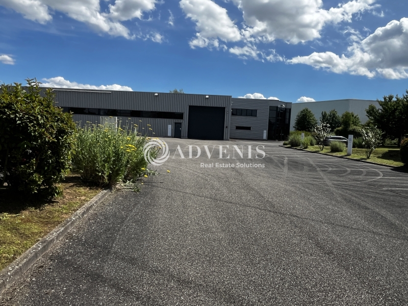 Location Activités Entrepôts HOLTZHEIM (67810) - Photo 4