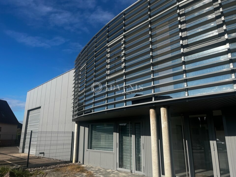 Vente Investisseur Activités Entrepôts GEISPOLSHEIM (67118) - Photo 5