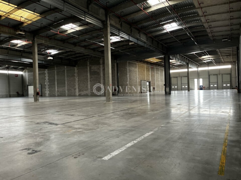 Location Entrepôts STRASBOURG (67000) - Photo 11