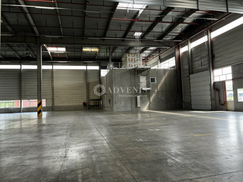 Location Entrepôts STRASBOURG (67000) - Photo 7