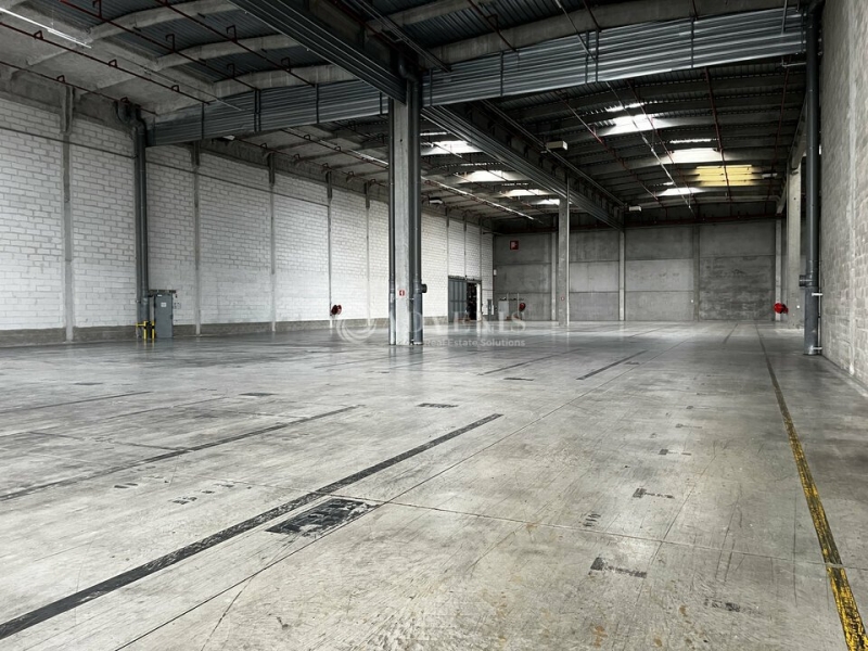 Location Entrepôts STRASBOURG (67000) - Photo 8