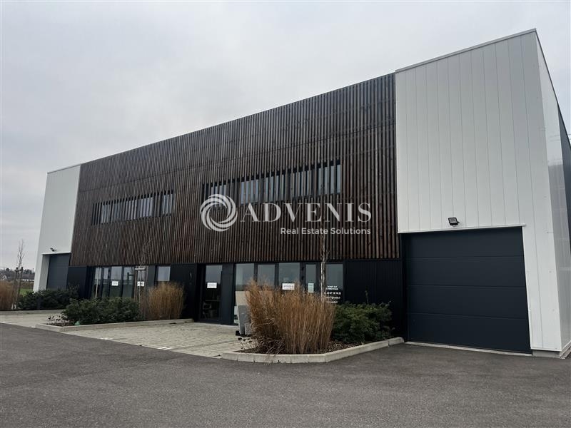 Location Activités Entrepôts VENDENHEIM (67550) - Photo 1