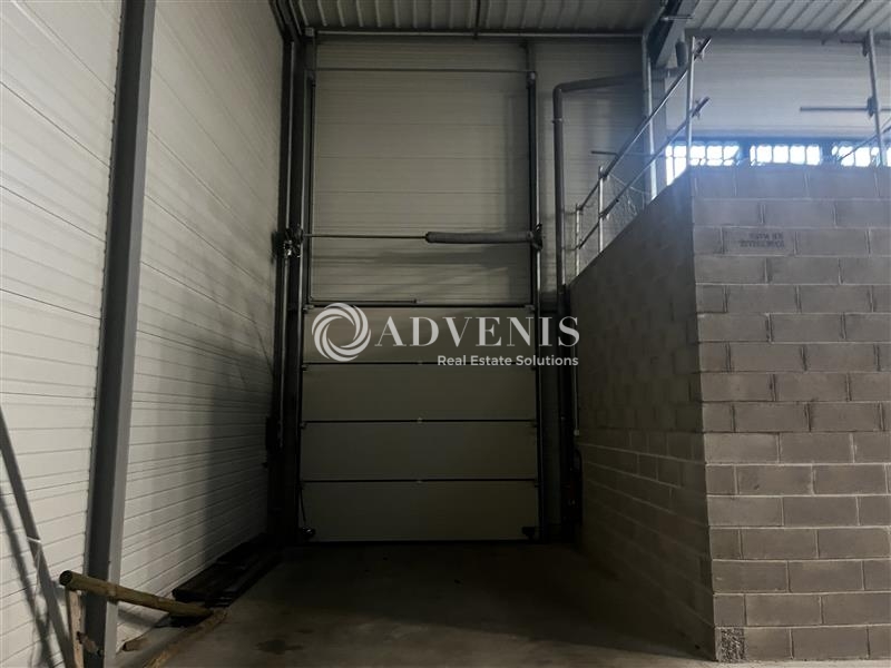 Location Activités Entrepôts VENDENHEIM (67550) - Photo 6