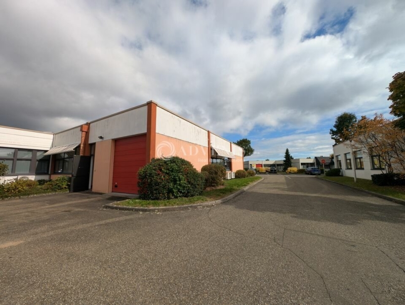 Location Bureaux et activités légères ECKBOLSHEIM (67201) - Photo 10