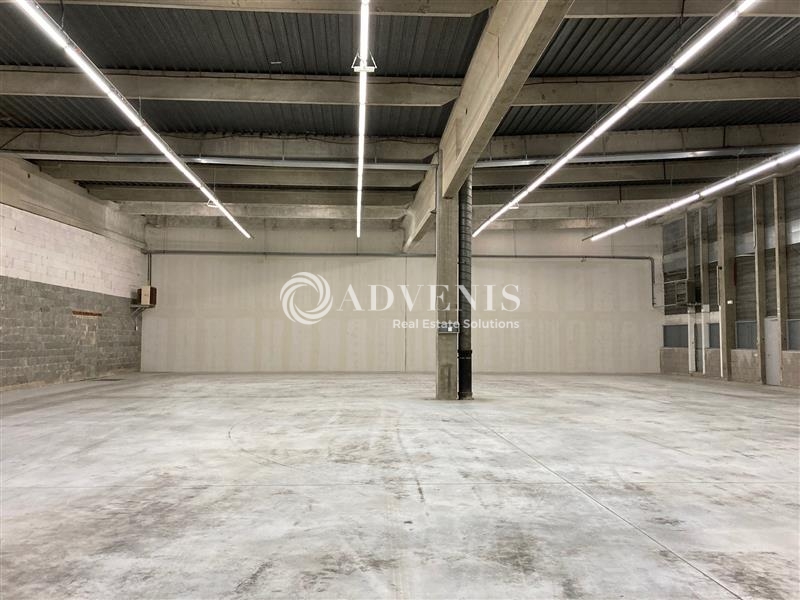 Location Activités Entrepôts BISCHHEIM (67800) - Photo 7